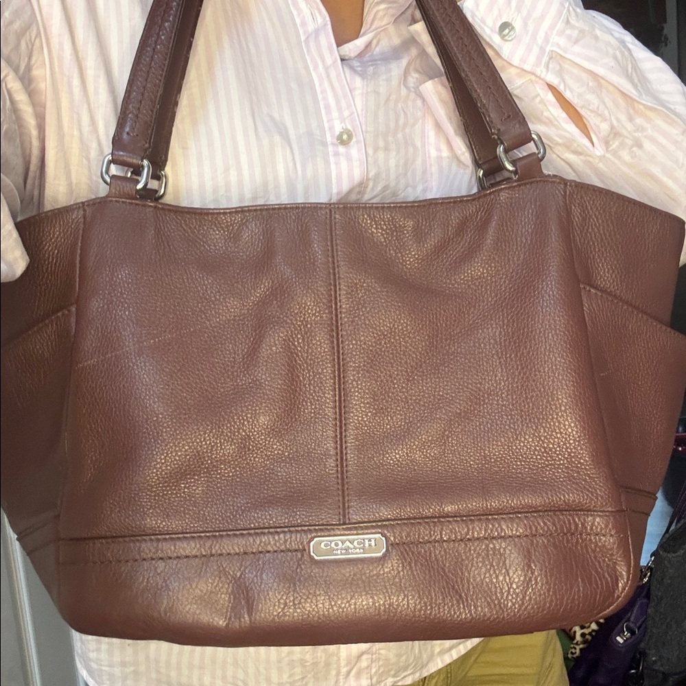 Coach Park Leather Carrie Tote